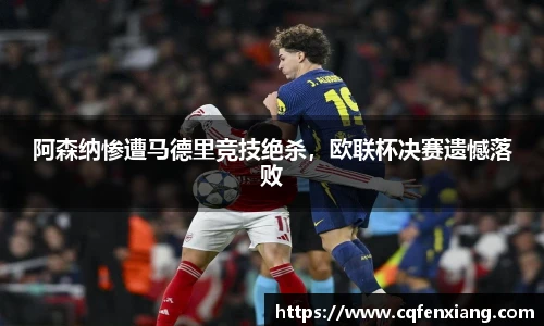 6686体育官网入口